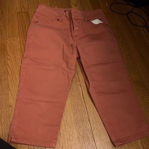 Miss Poured In Blue Coral Denim Pants Size 6
